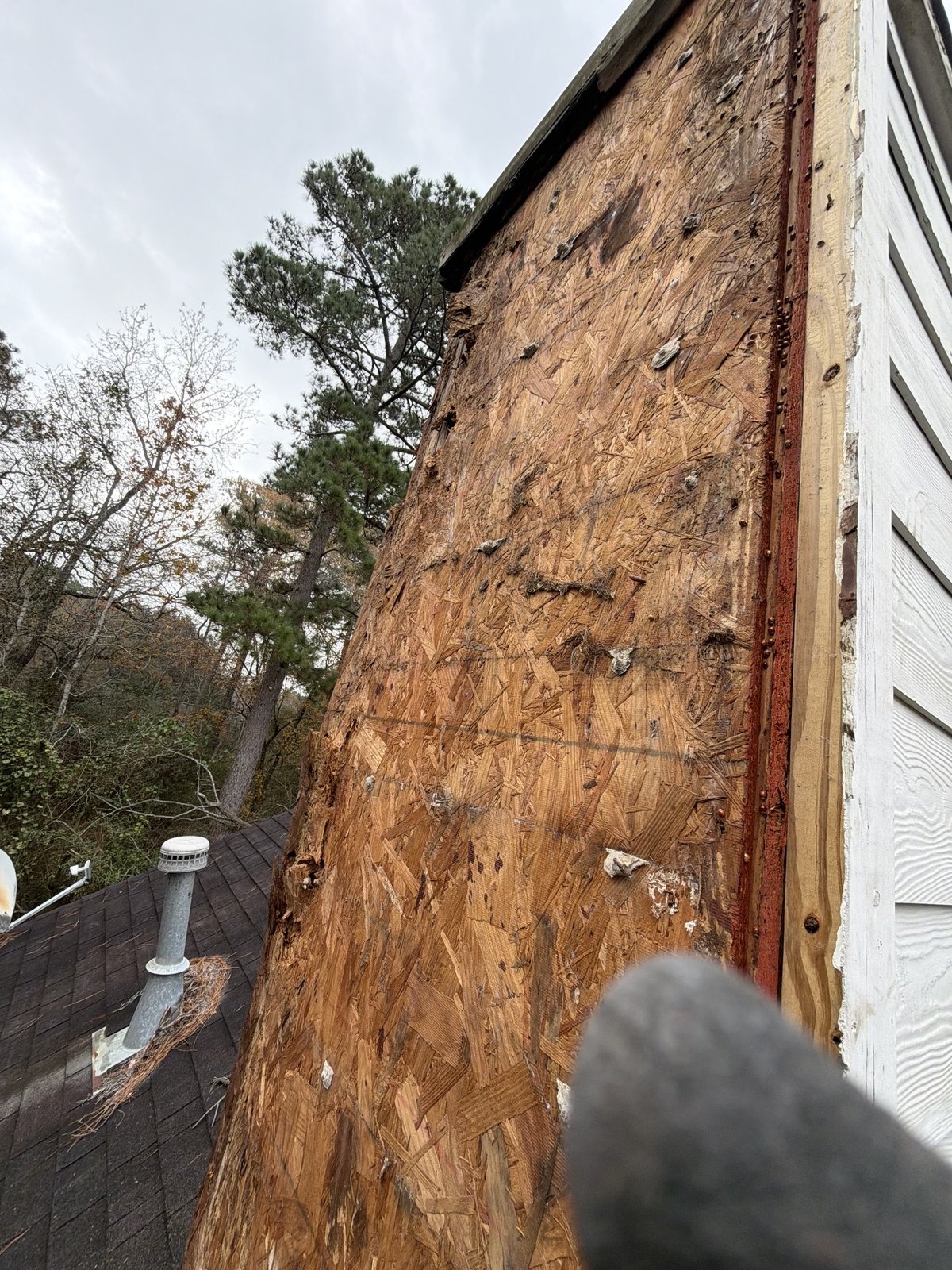 Wood rot damage at siding base — exterior trim repair