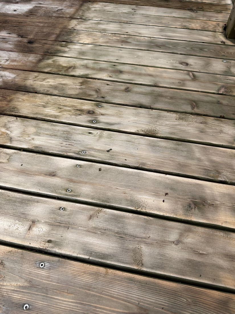 Deck #10 detail shot