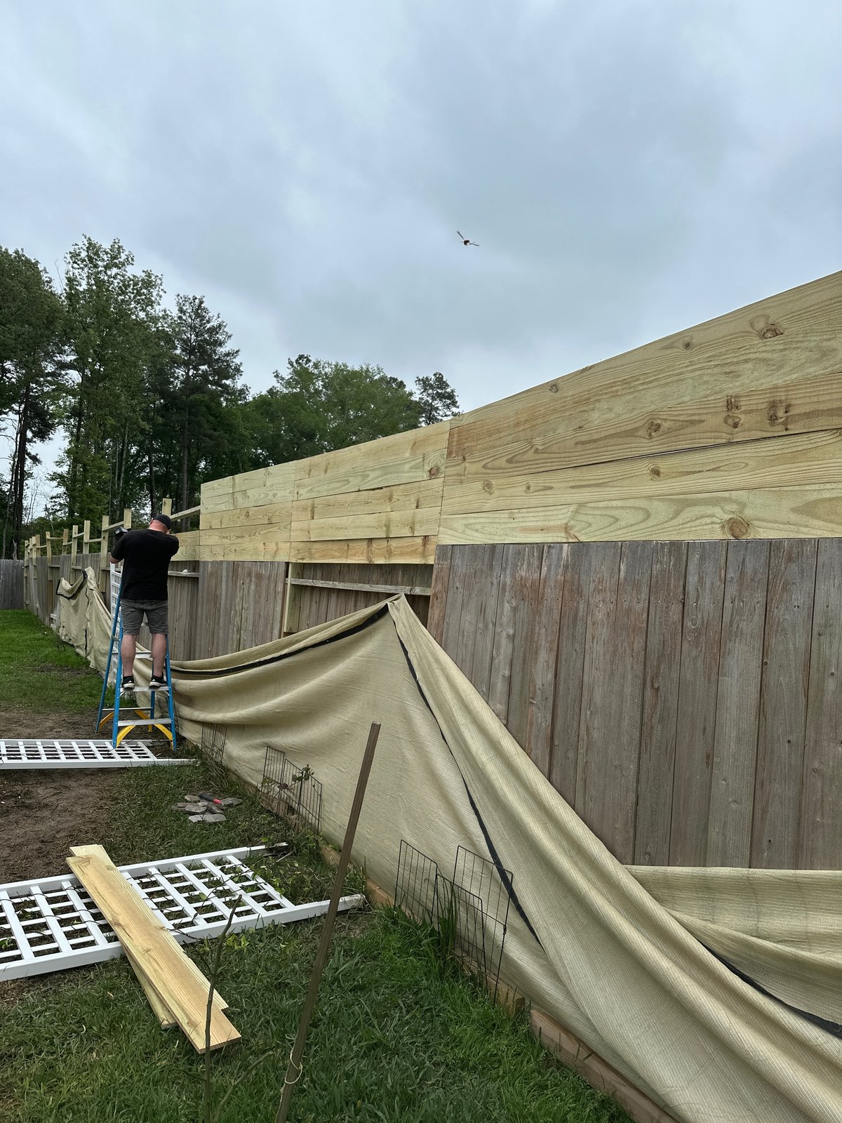 Cedar wood work — privacy fence repair and replacement The Woodlands TX