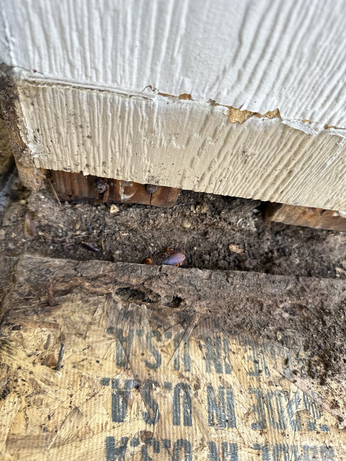Wood rot and trim repair package — exterior wood replacement The Woodlands TX