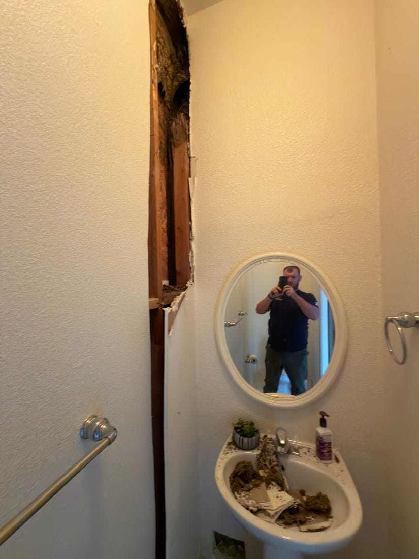 Termite-eaten wall stud exposed behind powder-room sink in The Woodlands, TX